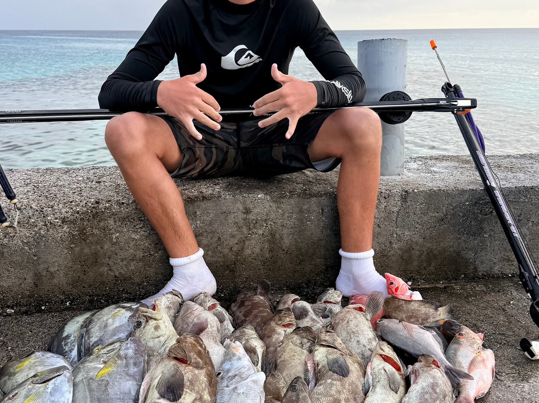 Rairoa Fishing And Tours-伦吉拉必去景点