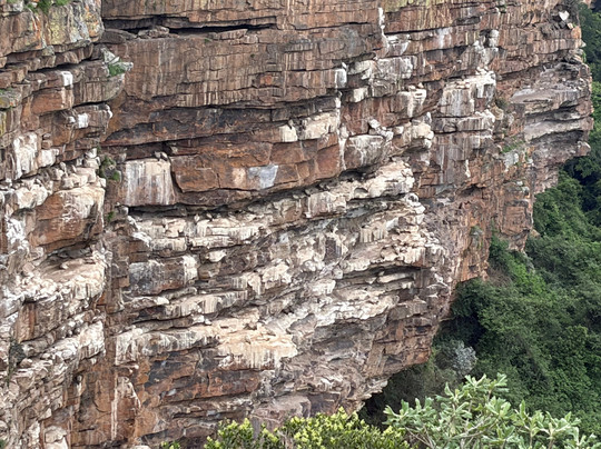 Oribi Vulture Viewing Hide-Port Shepstone必去景点