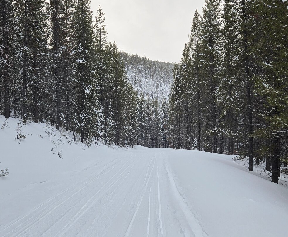 Back Country Adventures-西黄石镇必去景点