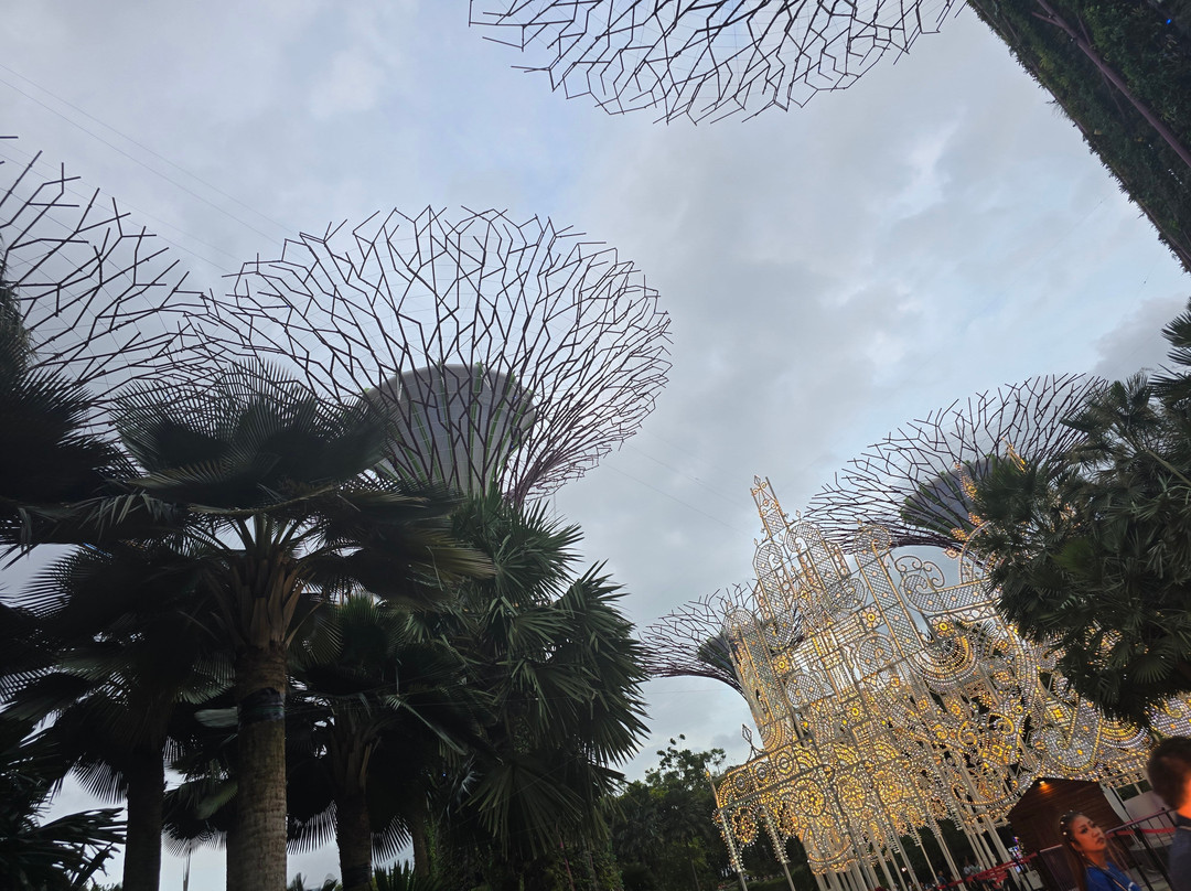 Bountiful Safaris-内罗毕必去景点