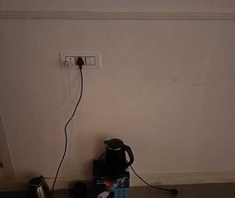 The Jungle Pool主图