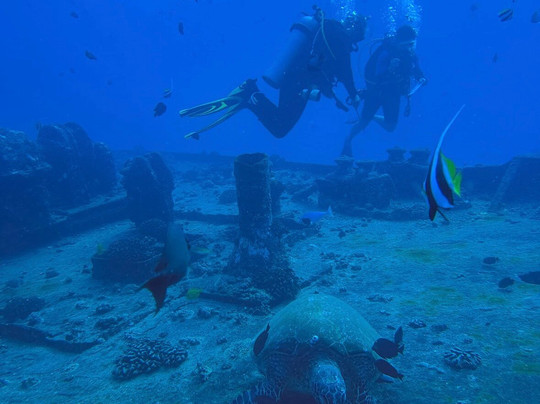 Aloha Scuba Diving Company-火奴鲁鲁必去景点