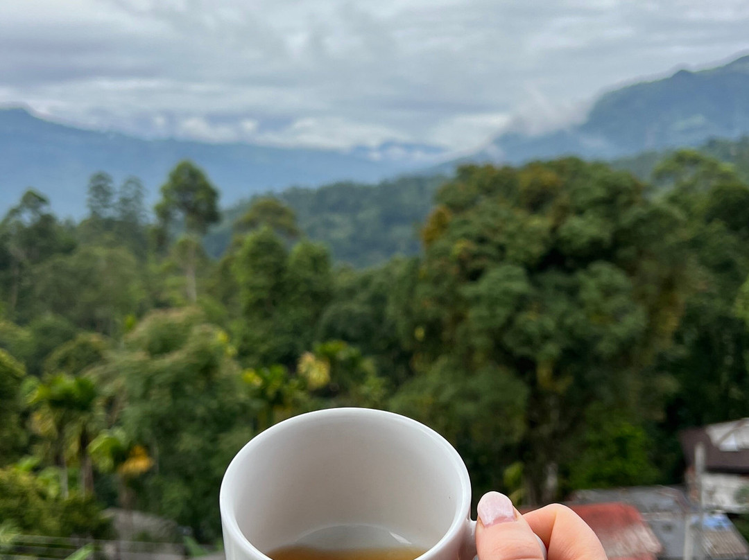 Visit Adventure Lanka Travel-Ragama必去景点