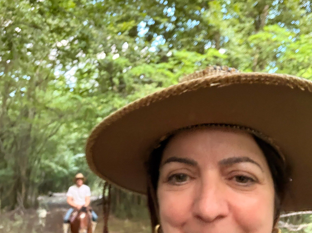 Cabalgatas Relincho-Los Arboles必去景点