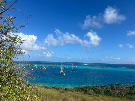 Alex Croisiere Grenadines et Caraibe-Le Marin必去景点