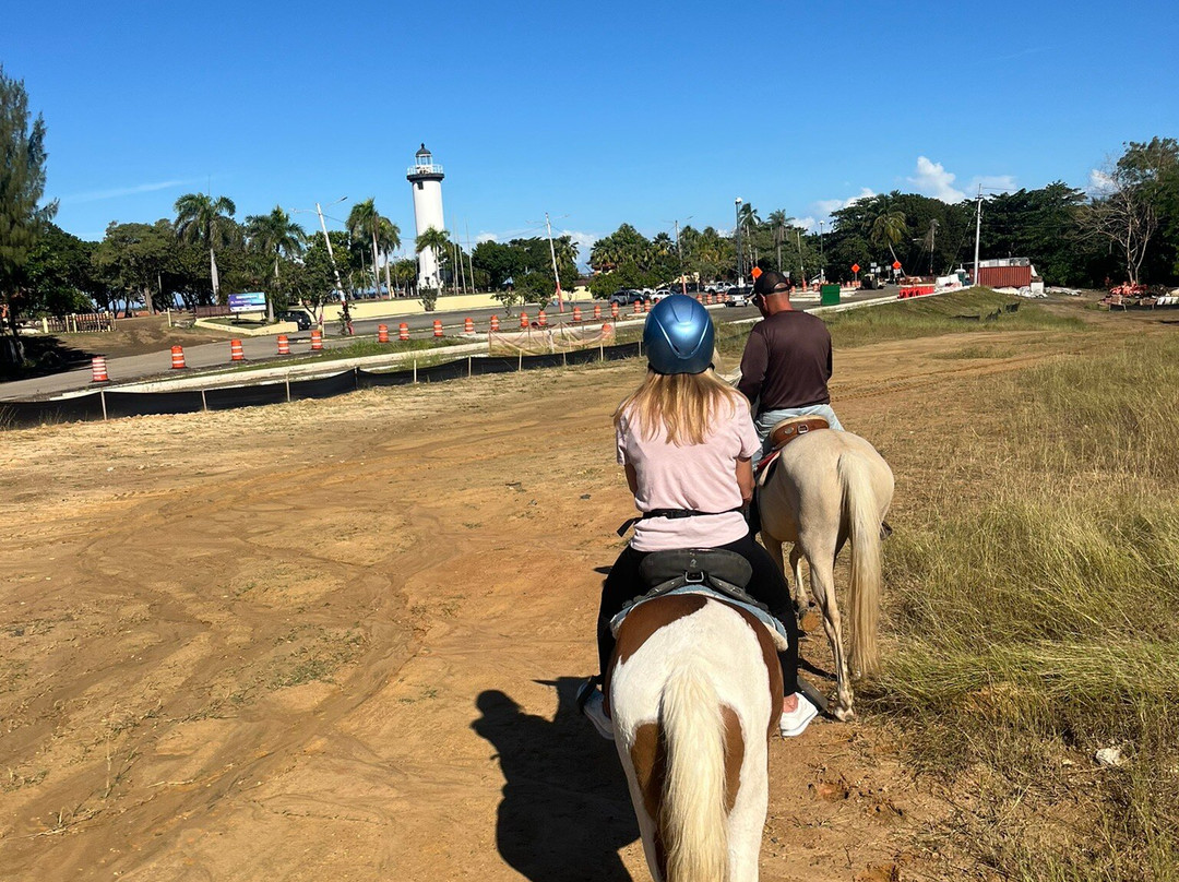 Horseback Rides by Pintos R Us-吕康必去景点