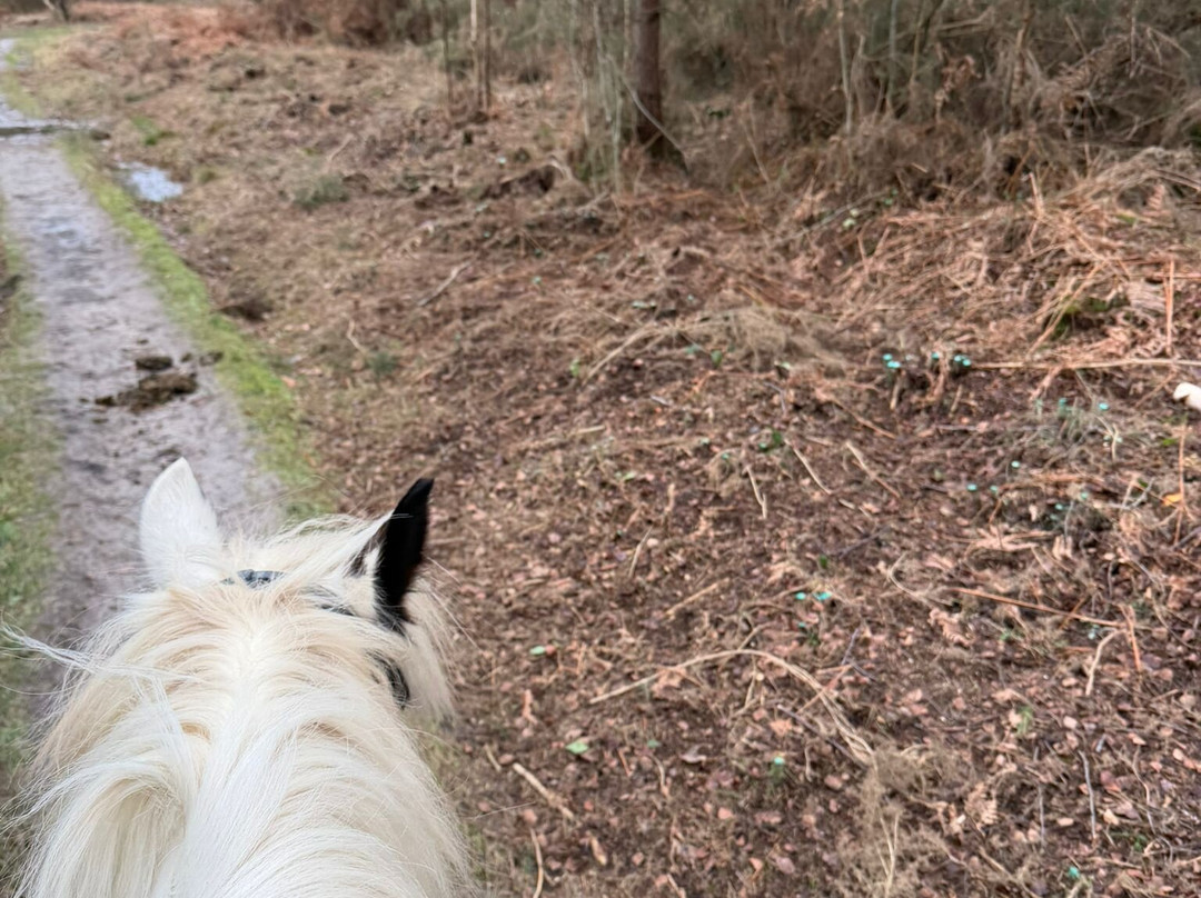 Westerlands-Graffham必去景点