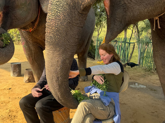 EleSafari-Amer必去景点