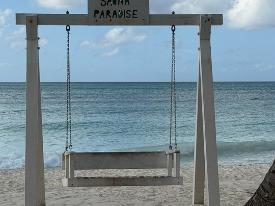 Muy Divertido Excursiones-Dominicus必去景点