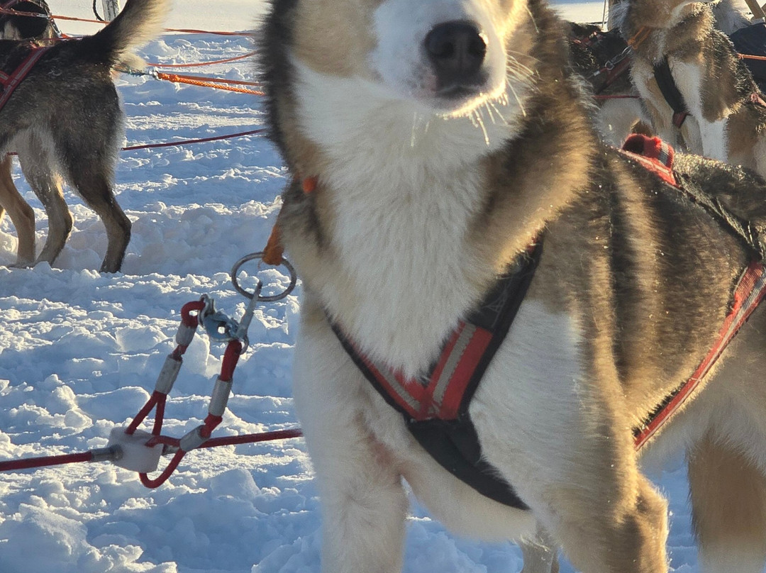 Fjallaventyr-Salen必去景点