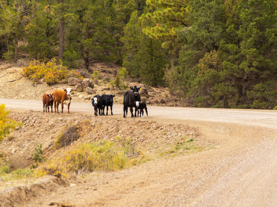 Hell's Backbone Road-埃斯卡兰特必去景点