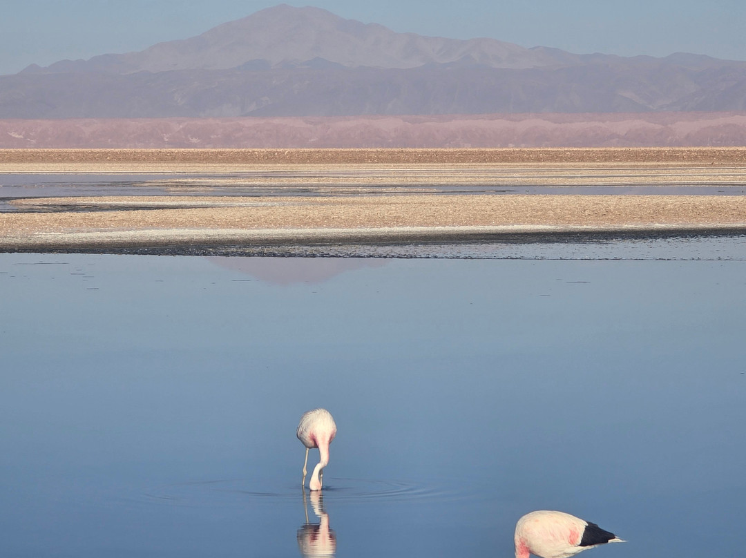 Machuca-圣佩德罗-德阿塔卡马必去景点