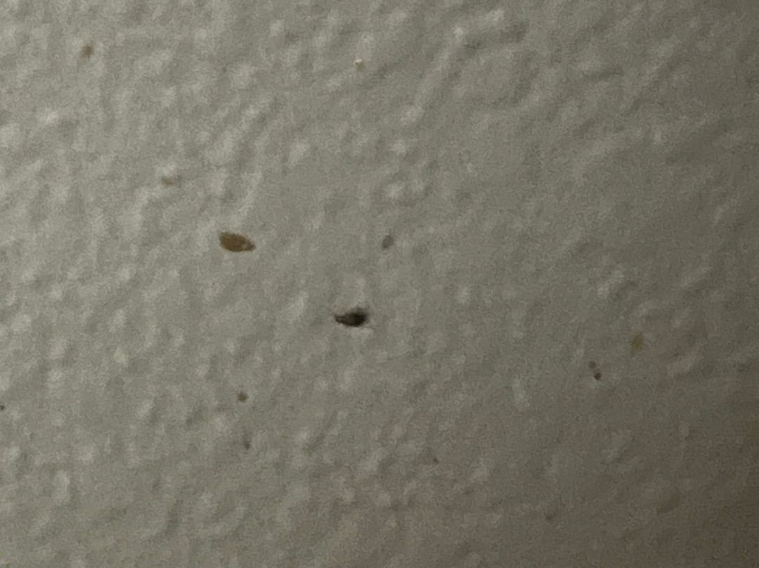 Extended Stay America Select Suites - Kalamazoo - West主图