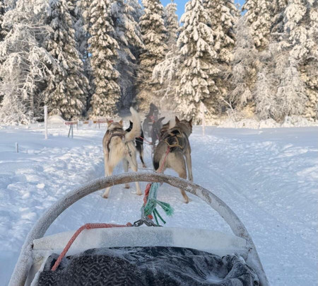 Era-Susi Huskies - Day Tours-Rukatunturi必去景点