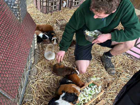 Colchester Zoo-科尔切斯特必去景点