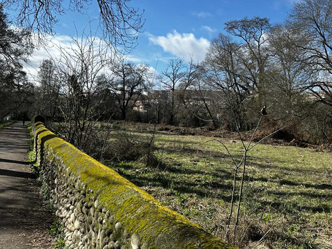 Parque de la Isla-Plasencia必去景点