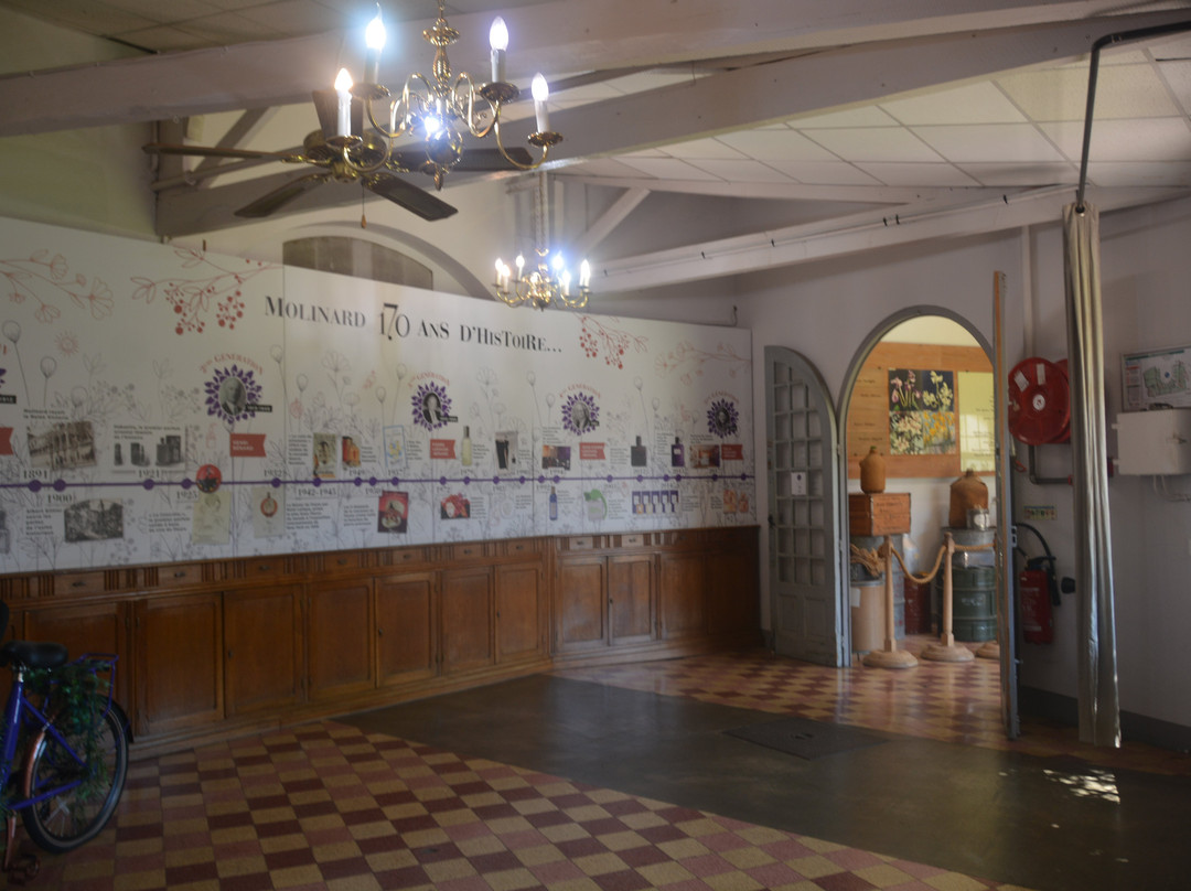 Molinard-格拉斯必去景点