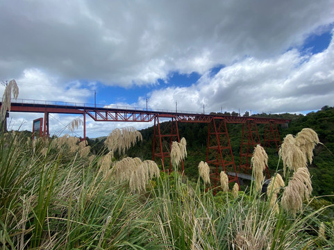 Makatote Viaduct-Ohau必去景点