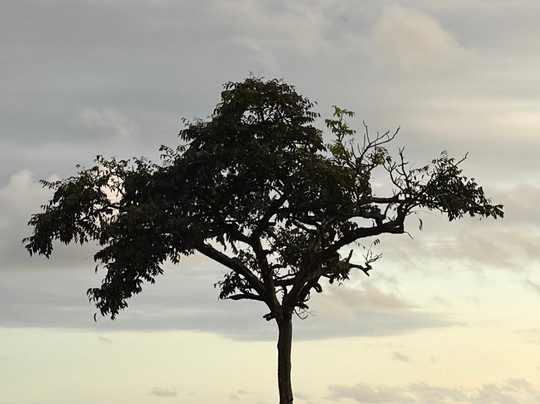 Best of Costa Rica DMC-圣何塞必去景点