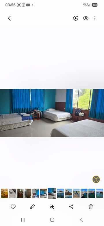 La Gran Tortuga-官方