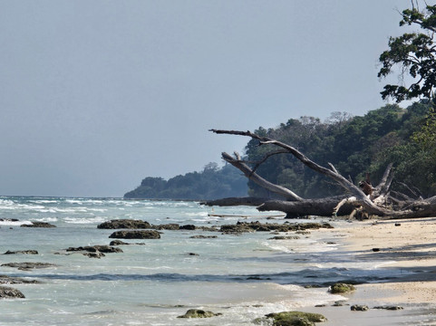 Kala Pathar Beach-哈夫洛克岛必去景点