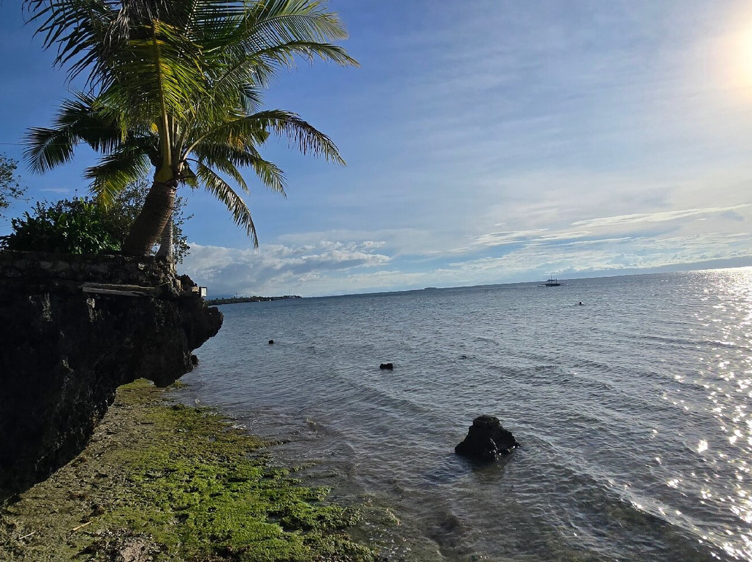 莫阿尔博阿尔T微风海滨度假村主图