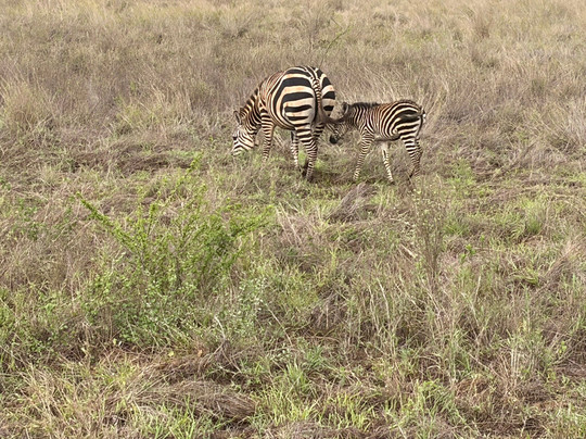 Jaynevy Tours-莫西必去景点