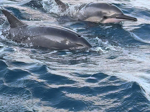 Slow Travel Noronha-Vila dos Remedios必去景点