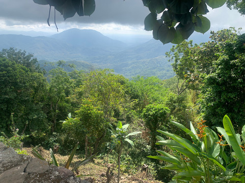 mani gonzalez adventures-La Crucecita必去景点