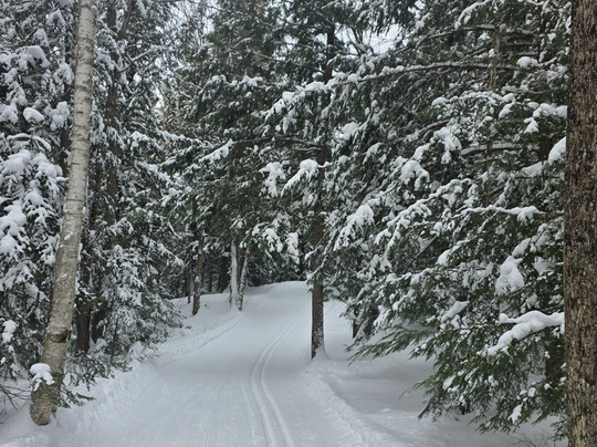 Craftsbury Outdoor Center主图