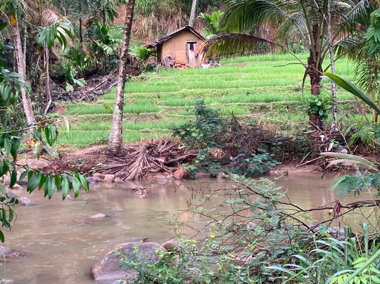 Kandy Trekking Tours-康提必去景点