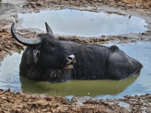 TrustGo Travels-埃勒必去景点