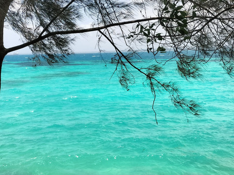 Eden Tours and Travel-桑给巴尔岛必去景点