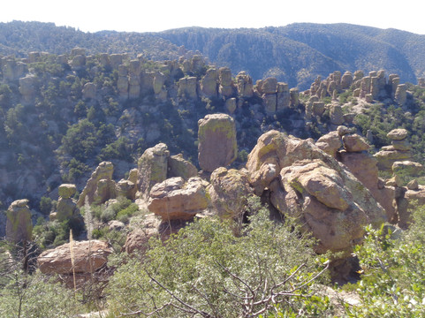 Chiricahua National Monument-Willcox必去景点