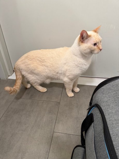 洛杉矶机场欢朋酒店，加州-官方