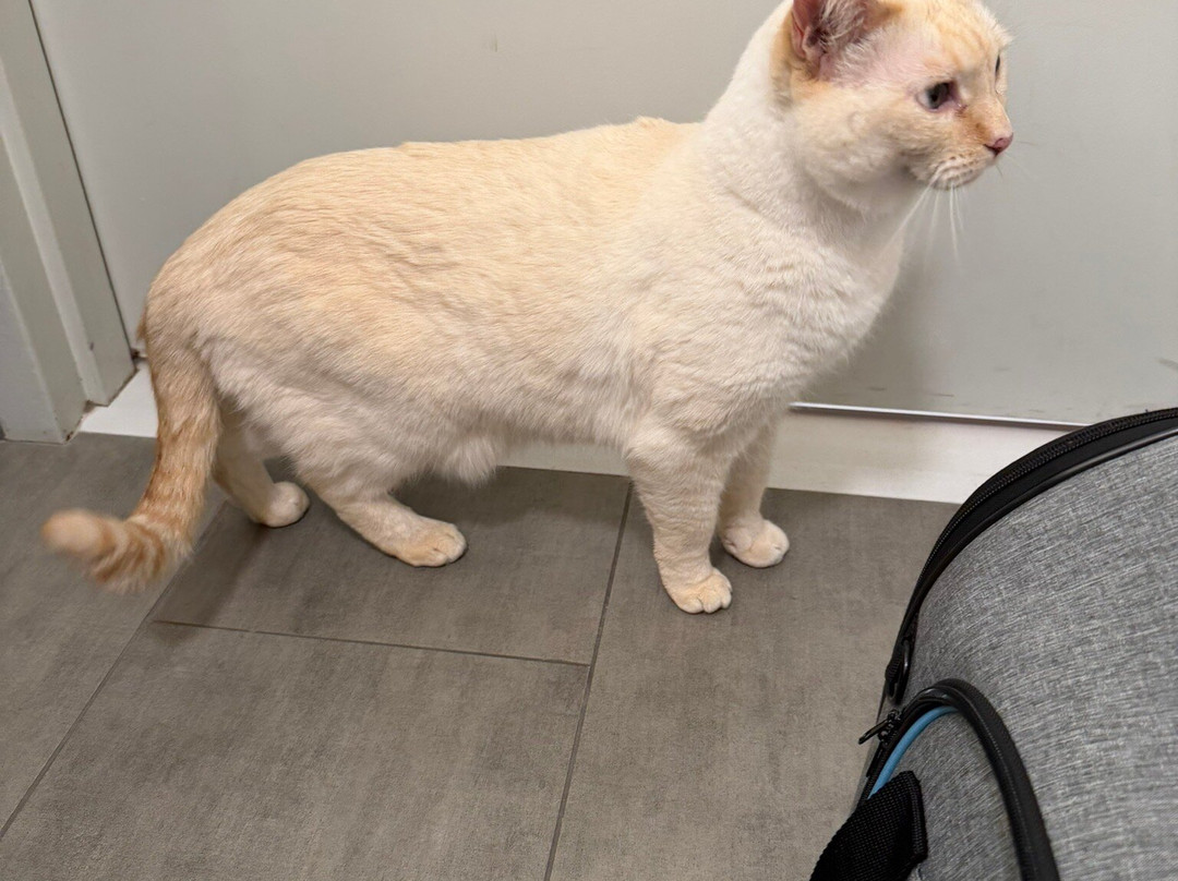 洛杉矶机场欢朋酒店，加州主图