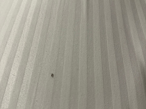 安布罗斯大酒店主图