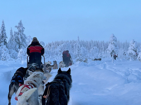 拉普兰熊之家酒店主图