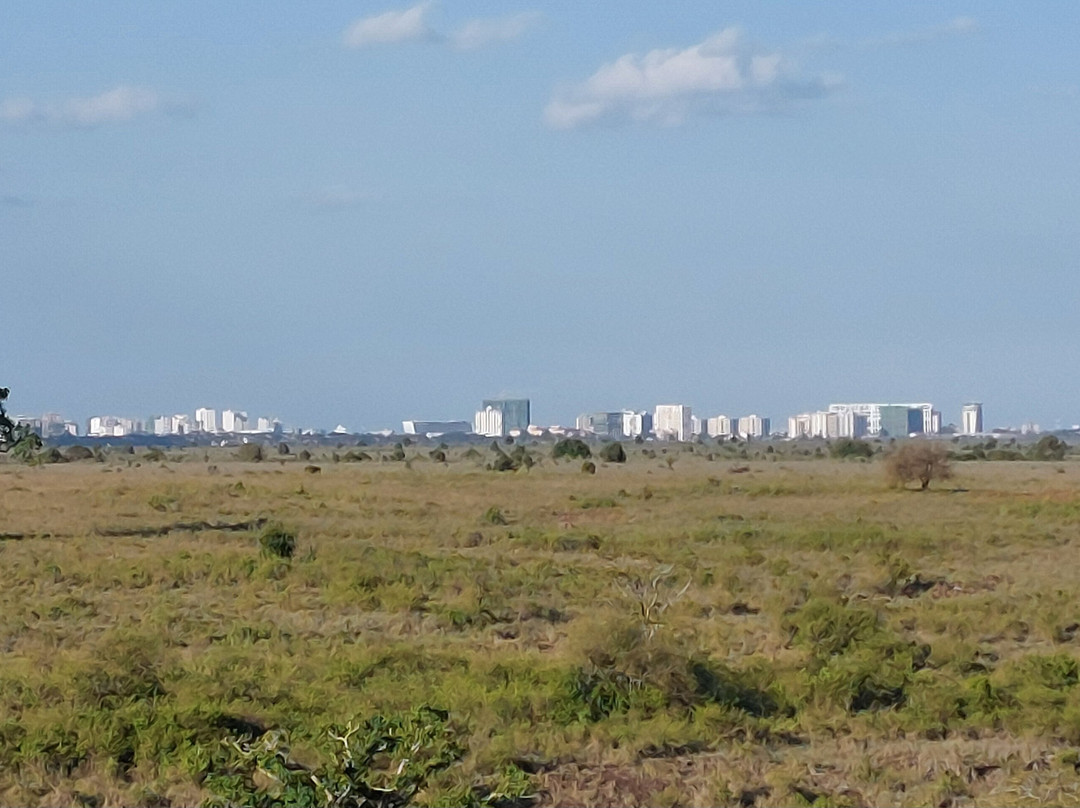 尼亚提山别墅主图