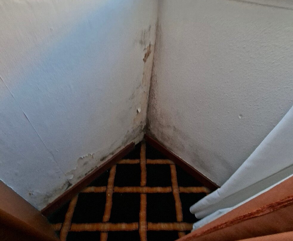 贝亨奥普佐郁金香旅馆主图