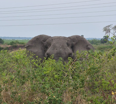 Dk Rent A Car Uganda-坎帕拉必去景点