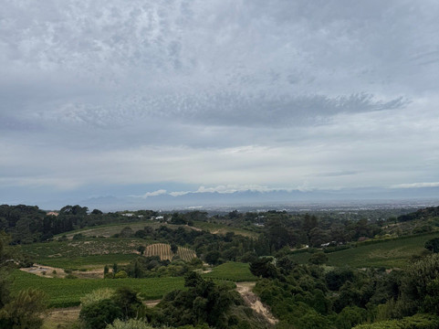 Beau Constantia-康士坦提亚必去景点