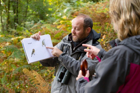 Forest of Dean Wildlife