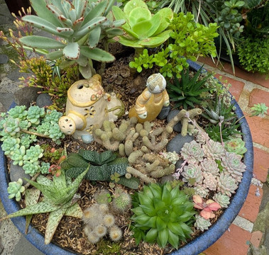 Finca Dracula-Cerro Punta必去景点