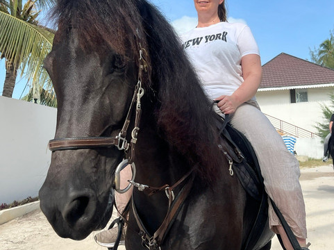 Royal Stable Zanzibar-米查维必去景点