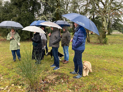 巴斯岛之地旅馆主图