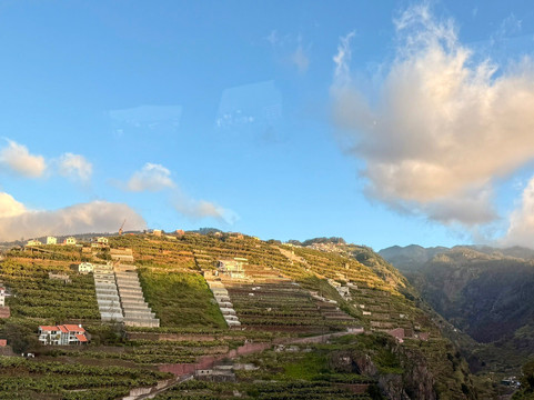 Green Devil Safari-马德拉群岛必去景点