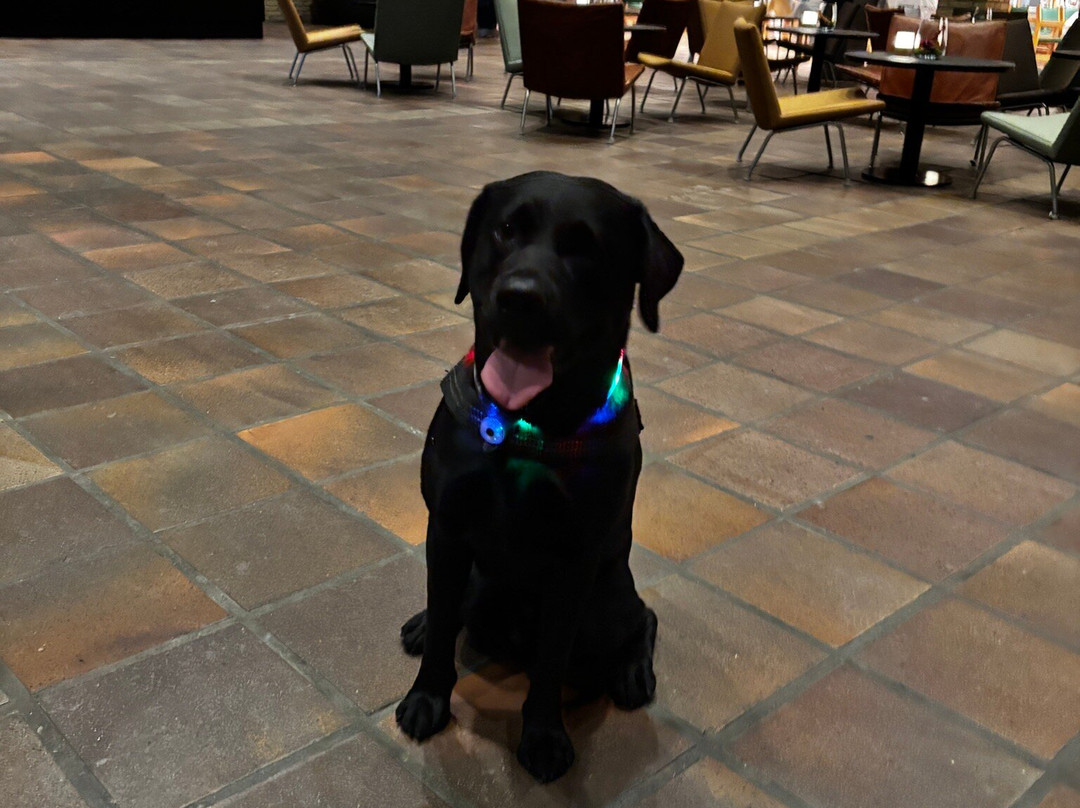 吉士威酒店及会议中心主图