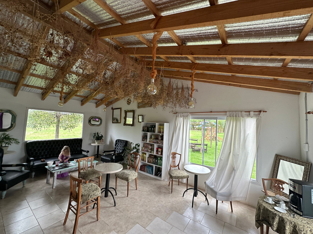 Finca de Arandanos-Castelli必去景点