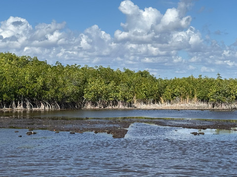 Wooten's Everglades Airboat Tour-奥乔皮必去景点